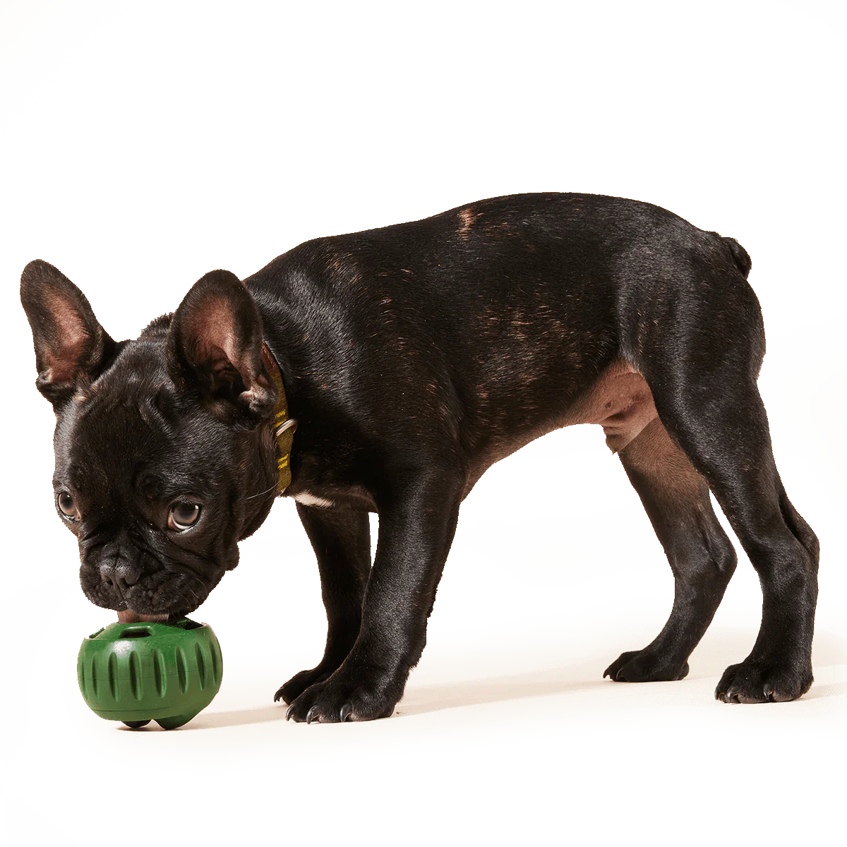 Beef Pops: 2 Pack - Image 3