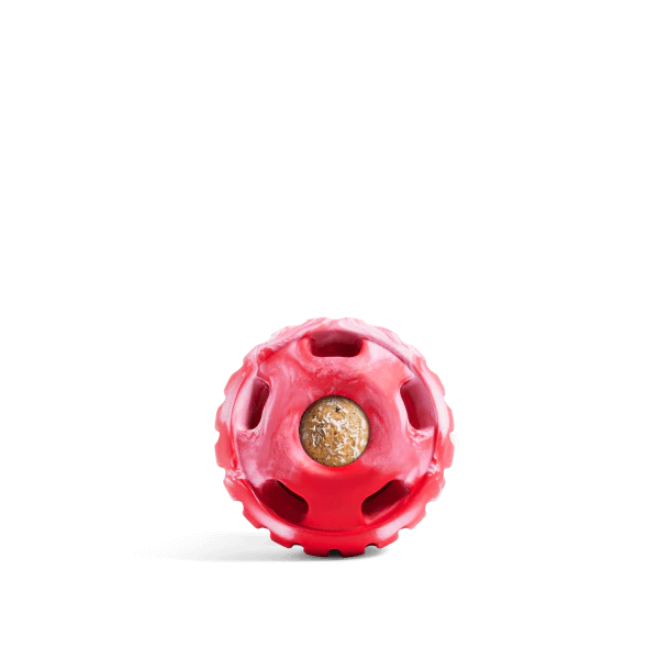 The Pupsicle - Image 10