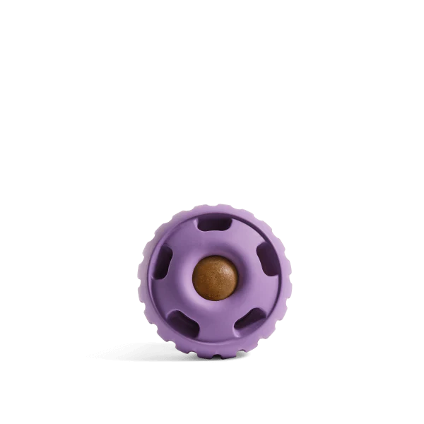 The Pupsicle - Image 3