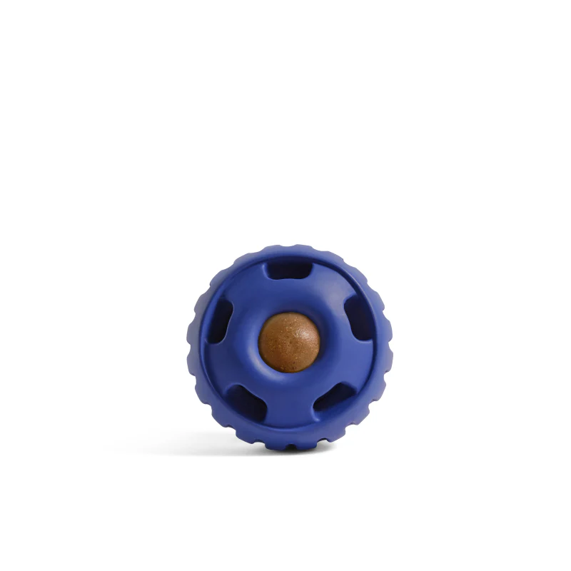 The Pupsicle - Image 6