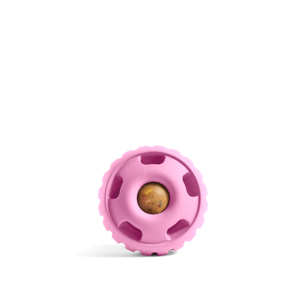 The Pupsicle - Image 7