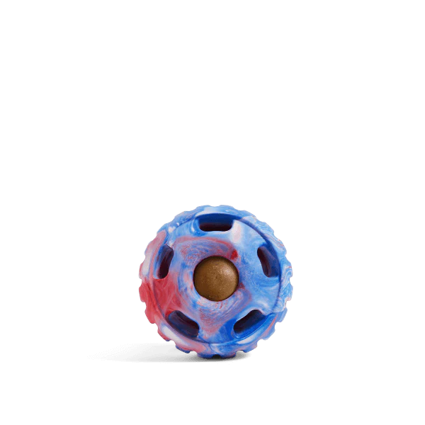 The Pupsicle - Image 9