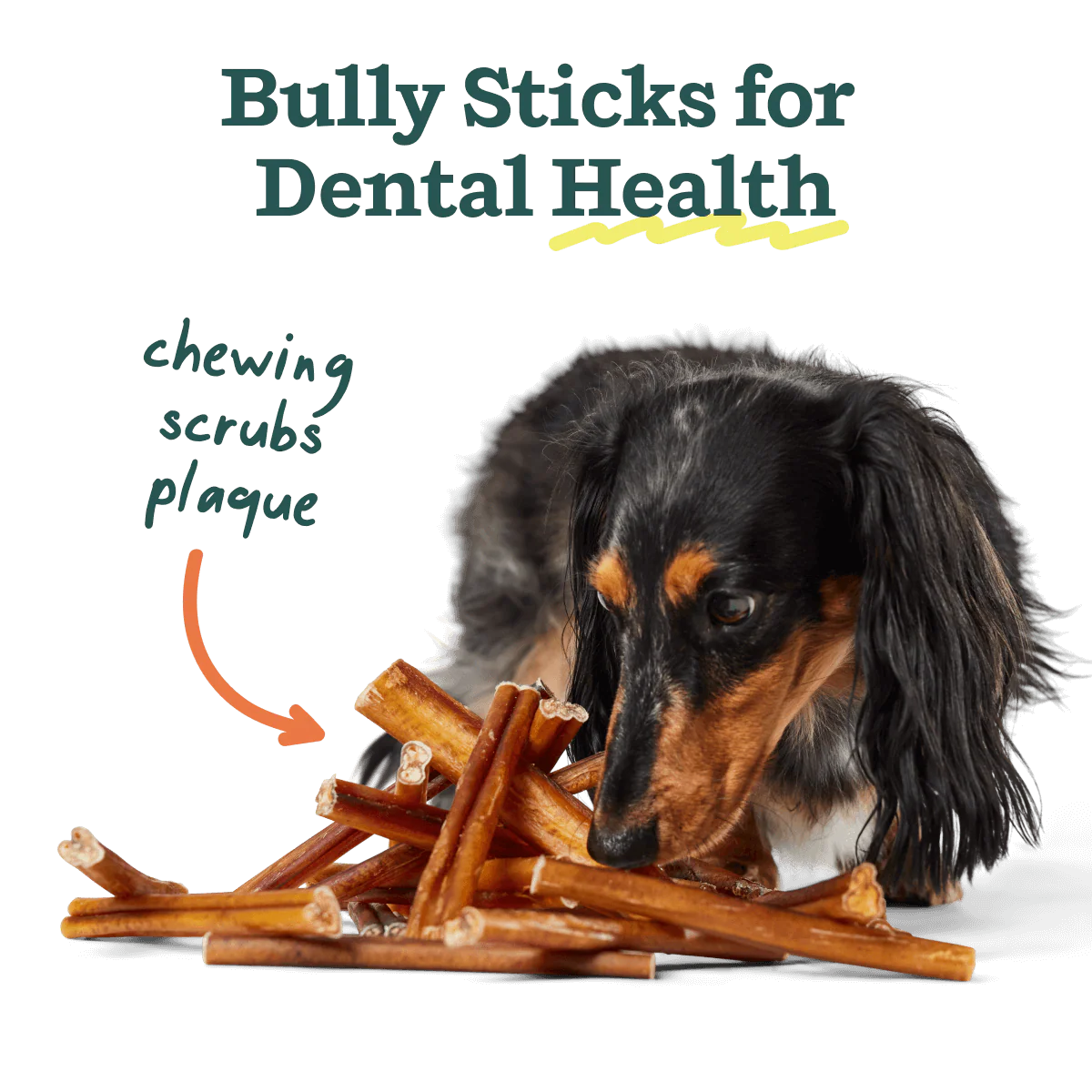 The BullySafe Better Pack - Image 5